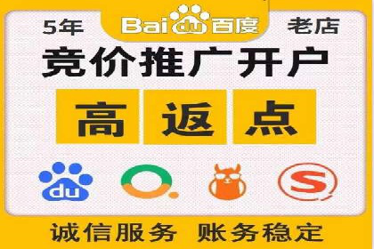 SEM托管公司案例分析：实战技巧全解析
